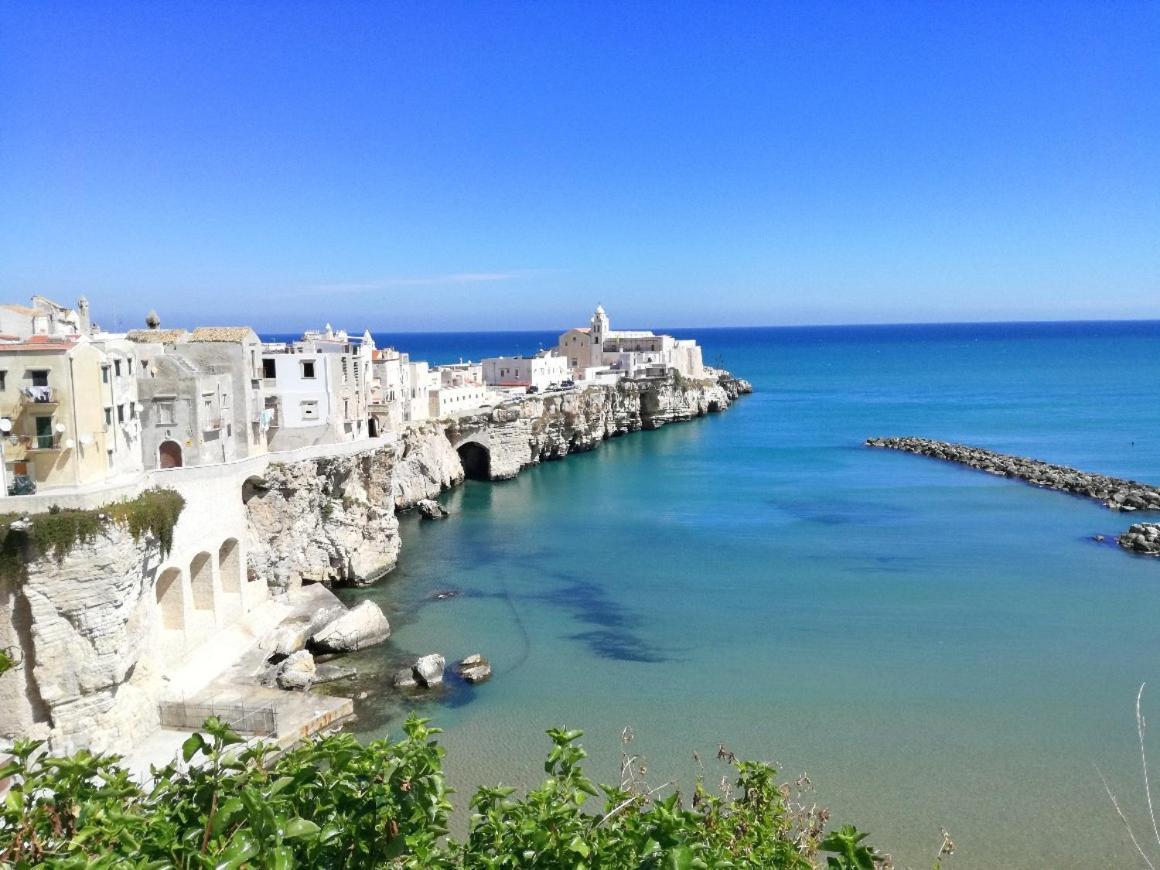 Uria Rooms & Suite B&B Vieste Kültér fotó